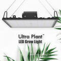 White indoor grow lights for vertical farming